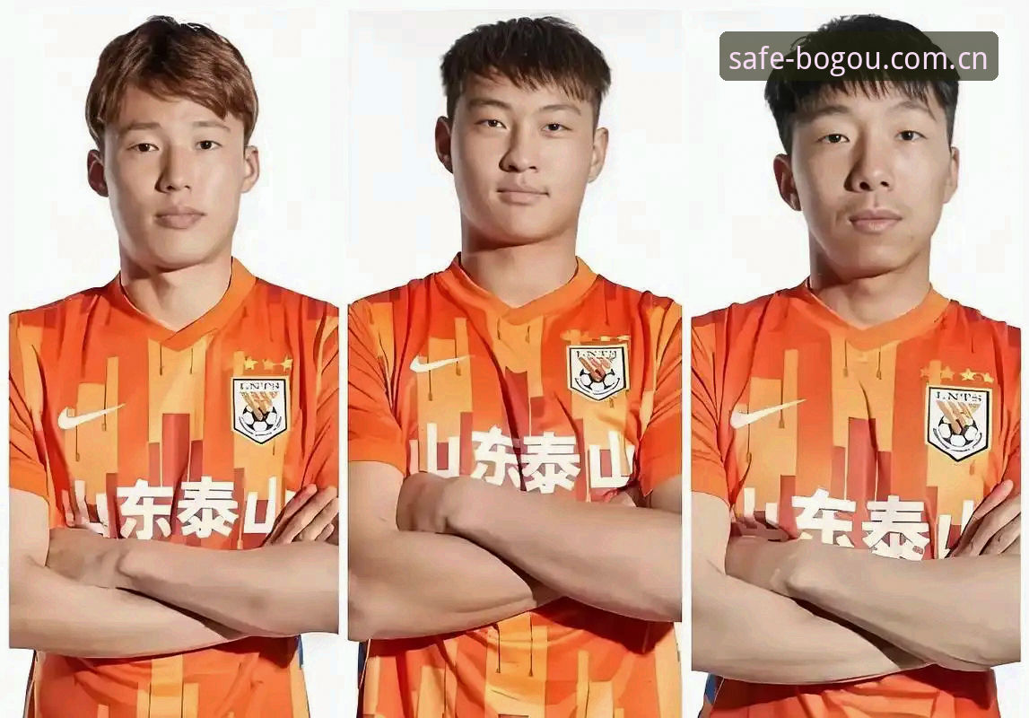 博狗平台入口：足协第三批禁足名单全解读教程